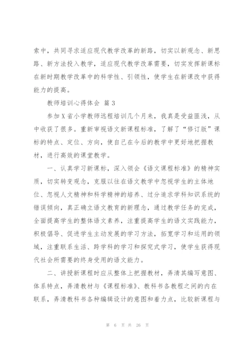 教师培训心得体会范文集锦十篇.docx