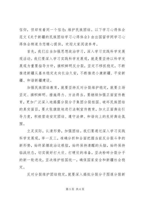 学习新疆维稳精神心得体会.docx