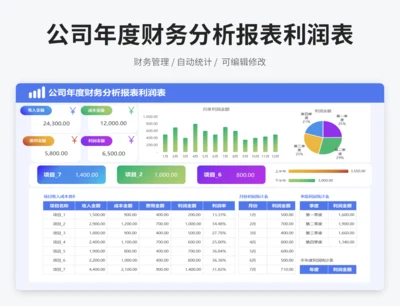 公司年度财务分析报表利润表