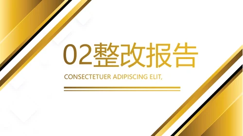 金色高端大气银行贷款工作总结汇报动态PPT模板