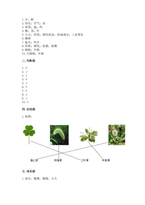 教科版一年级上册科学期末测试卷及完整答案（网校专用）.docx
