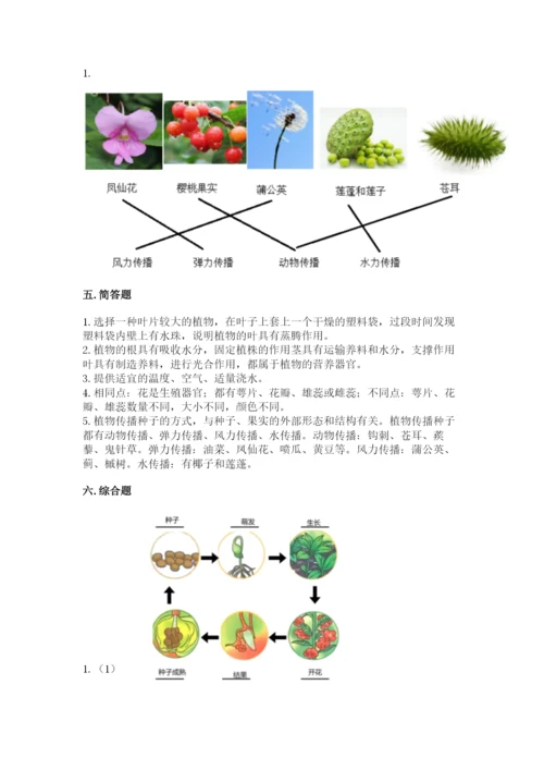 科学四年级下册第一单元《植物的生长变化》测试卷（原创题）.docx