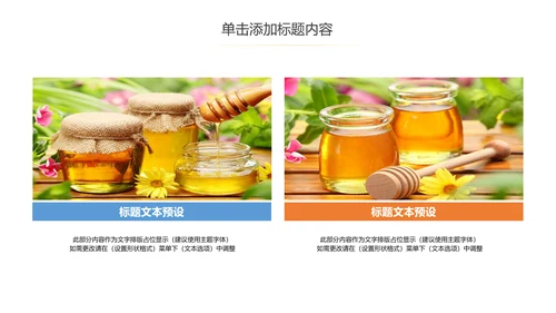 绿色天然蜂蜜营养食品健康讲座PPT模板