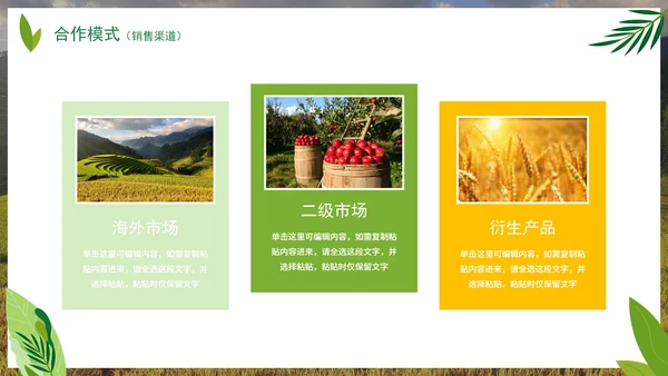 实景天然绿色生态农产品介绍PPT模板