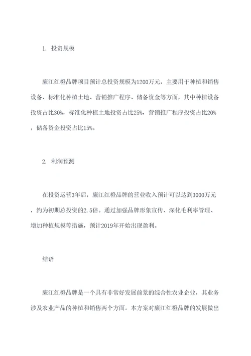 廉江红橙商业计划书