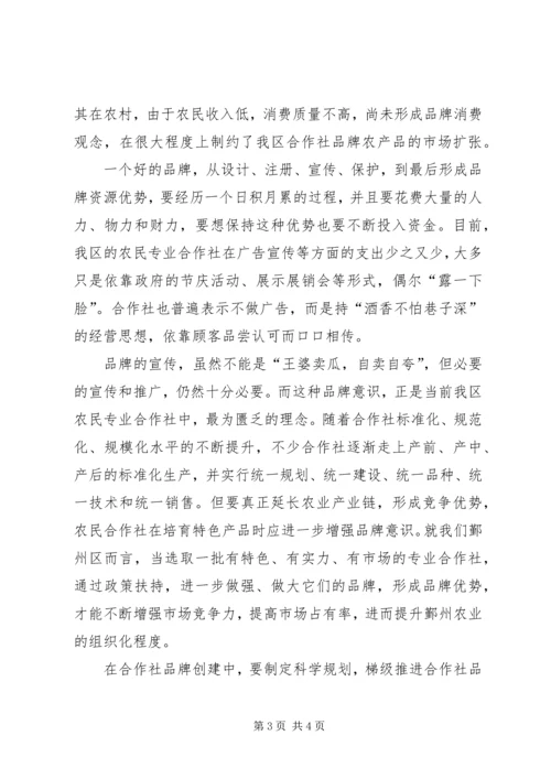 关于加强农民专业合作社品牌意识的思考 (5).docx