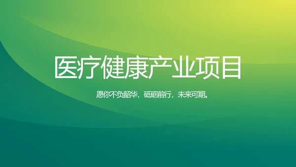 绿色大气医疗健康产业项目介绍动态PPT