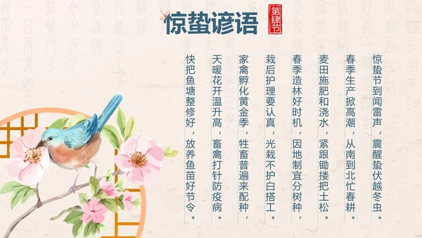 黄色中国风花鸟二十四节气之惊蛰带内容PPT模板