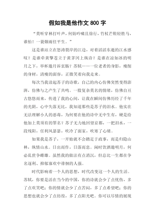假如我是他作文800字.docx