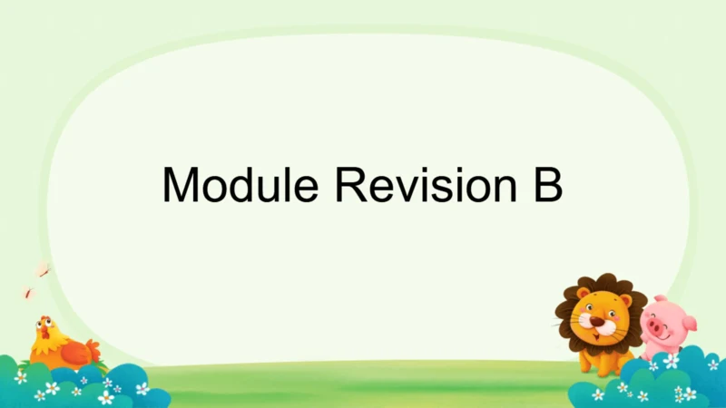 Module Revision B