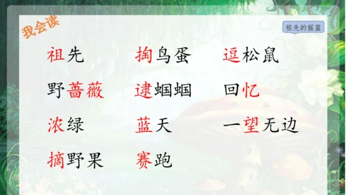 23祖先的摇篮 课件