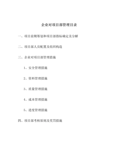 公司对项目部管理初步方案.docx