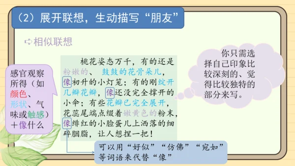 统编版语文三年级下册2024-2025学年度第一单元习作：我的植物朋友（课件）