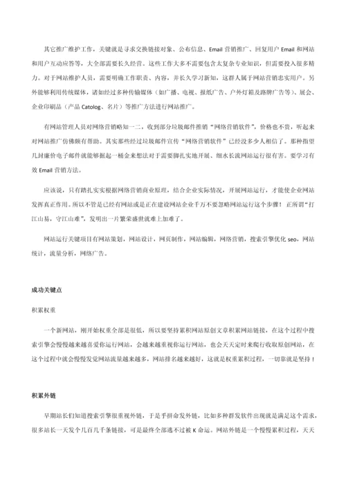 网站运营推广专项方案.docx