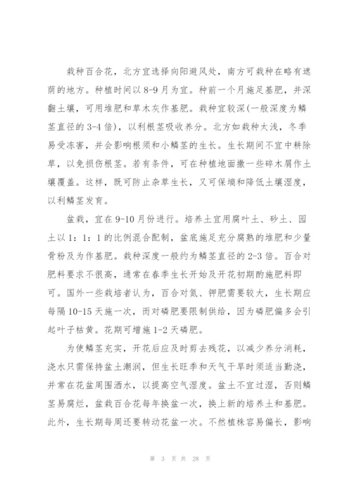 校外实习个人工作总结范文.docx