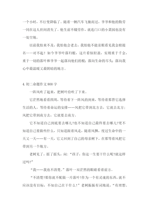 初二命题作文800字(精选5篇).docx
