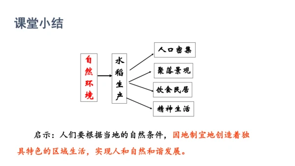 人文地理上册 3.1.1 稻作文化的印记 课件（共22张PPT）