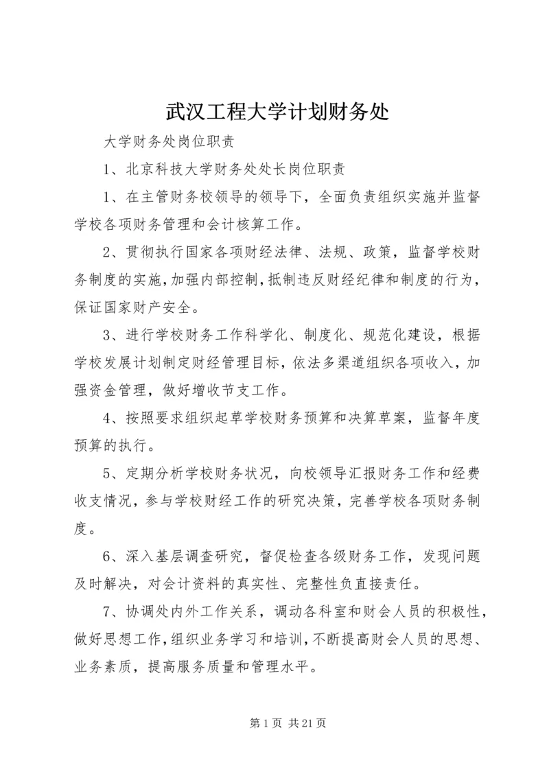 武汉工程大学计划财务处 (3).docx