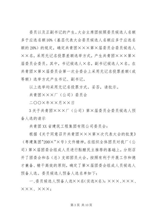 共青团支部委员会成立大会的请示.docx