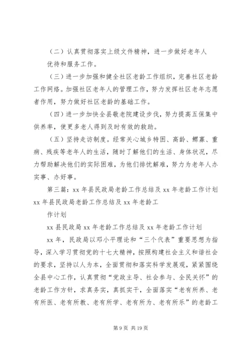 民政局老龄工作计划.docx
