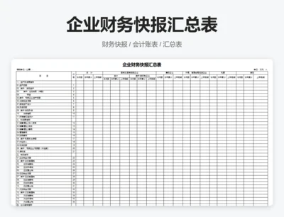 企业财务快报汇总表