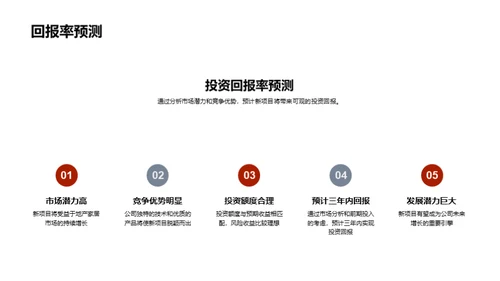 新项目投资展望