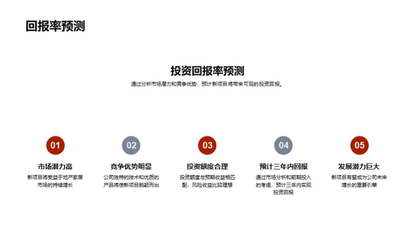 新项目投资展望
