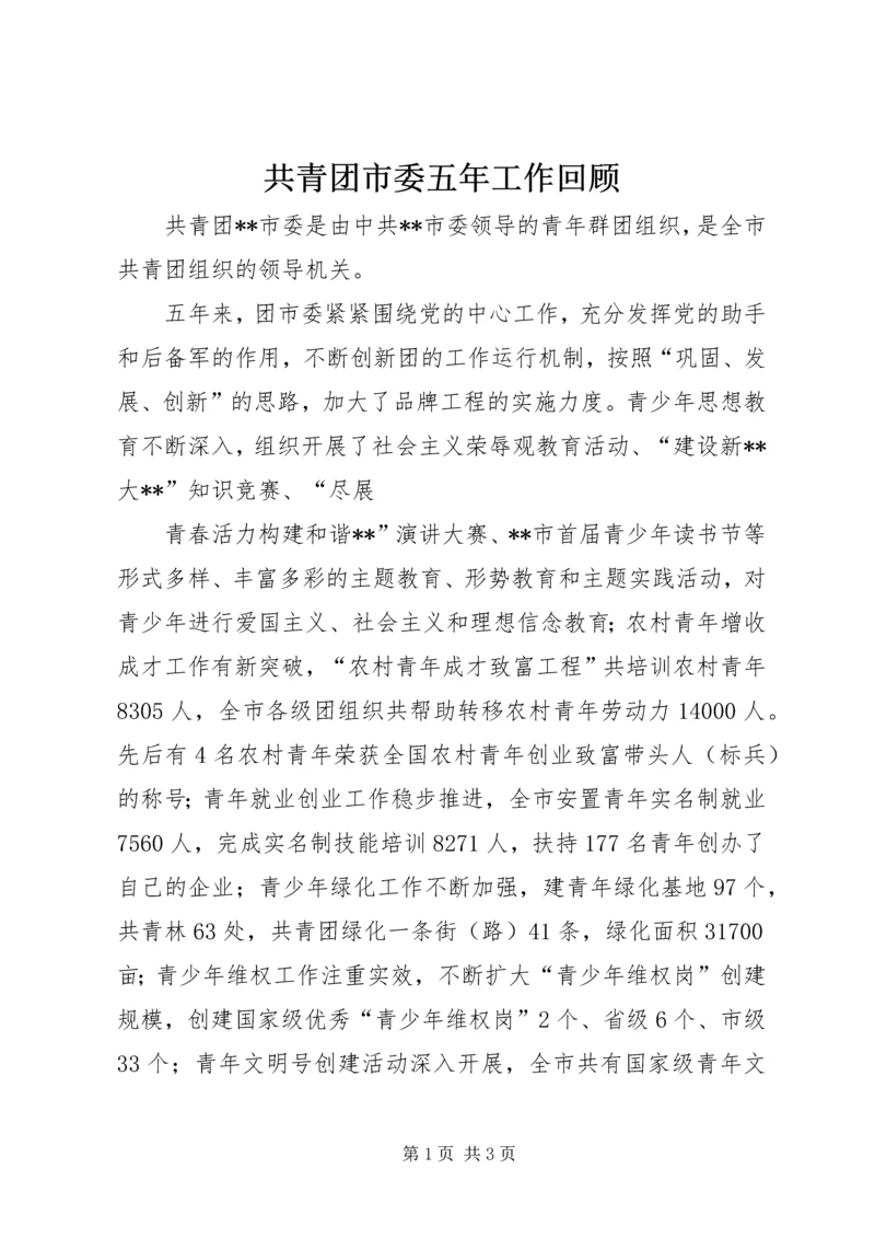 共青团市委五年工作回顾 (3).docx