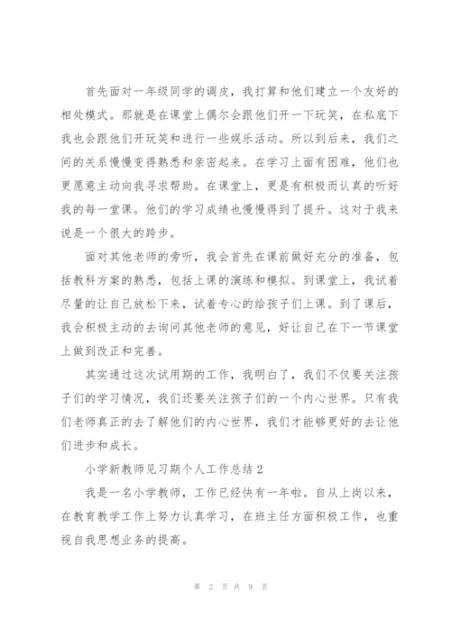 小学新教师见习期个人工作总结5篇.docx