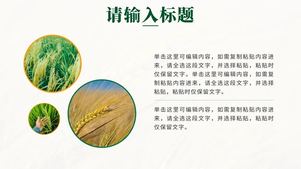 绿色简约实景全民推进乡村振兴PPT模板