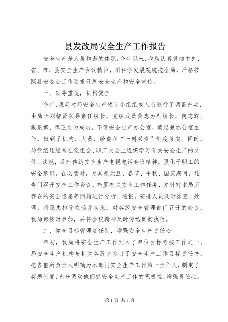 县发改局安全生产工作报告.docx