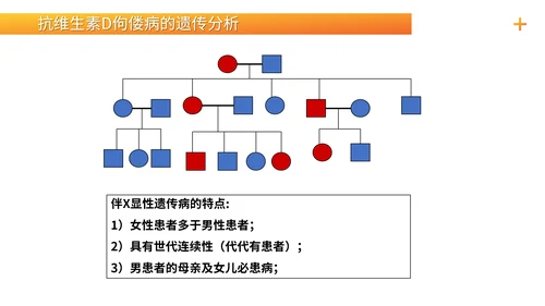 基因学伴性遗传初高中生物PPT课件