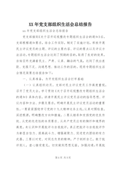 XX年党支部组织生活会总结报告.docx