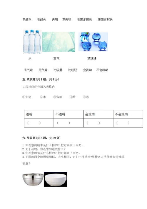 教科版一年级下册科学期末测试卷附参考答案【轻巧夺冠】.docx