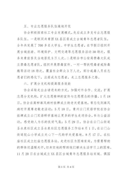 市志愿者协会年度工作总结范文.docx