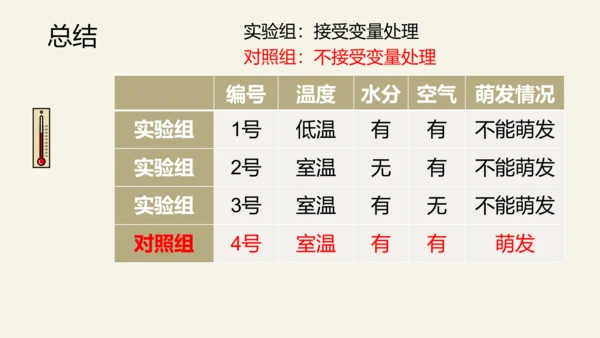 3.2.1 种子的萌发-2023-2024学年七年级生物上册优质课件（人教版）(共28张PPT)