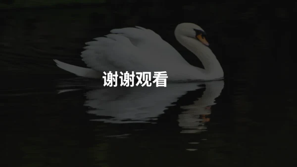 《天鹅》布丰天鹅湖通用PPT课件
