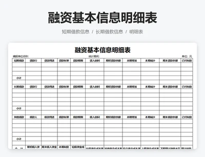 融资基本信息明细表