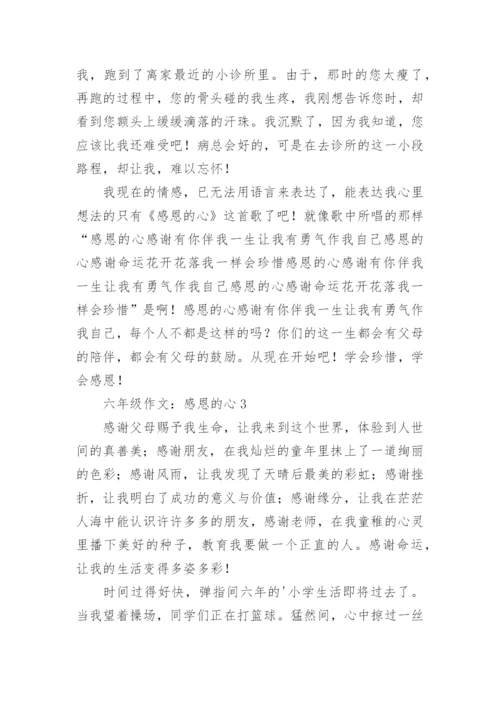 六年级作文：感恩的心.docx