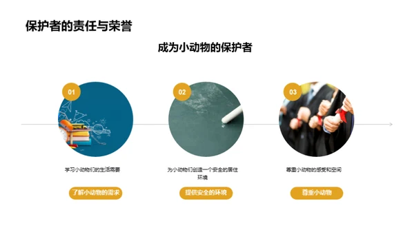 我们的小小动物园