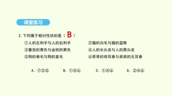 7.2.1基因控制生物的性状课件-人教版生物八年级下册(共26张PPT)