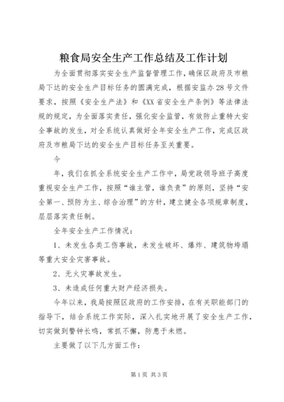 粮食局安全生产工作总结及工作计划 (3).docx