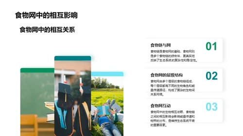 生态环境：平衡与保护