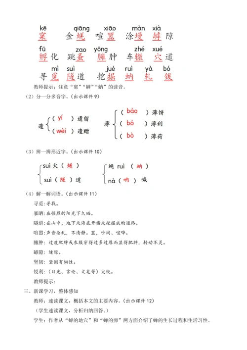 部编版八年级语文上册教案 第五单元 21 蝉