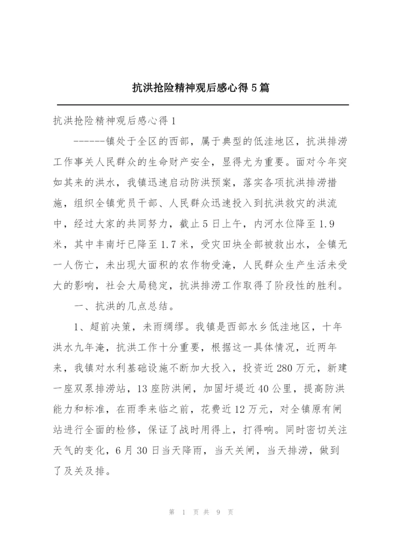 抗洪抢险精神观后感心得5篇.docx