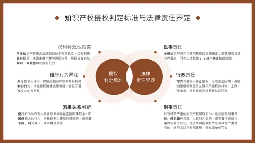 棕色商务风知识产权保护制度培训PPT