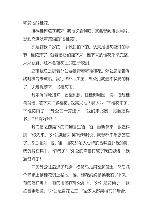 总会想起那张照片作文700字