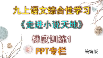 九上语文综合性学习《走进小说天地》梯度训练1课件