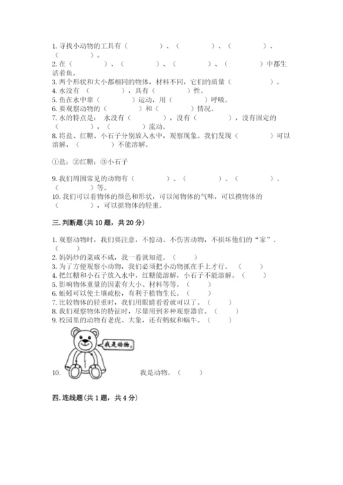 教科版一年级下册科学期末测试卷附完整答案（历年真题）.docx