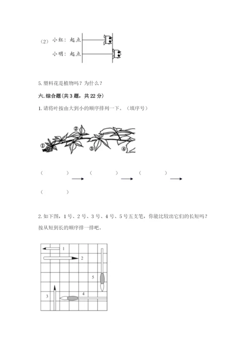 教科版一年级上册科学期末测试卷精品【巩固】.docx